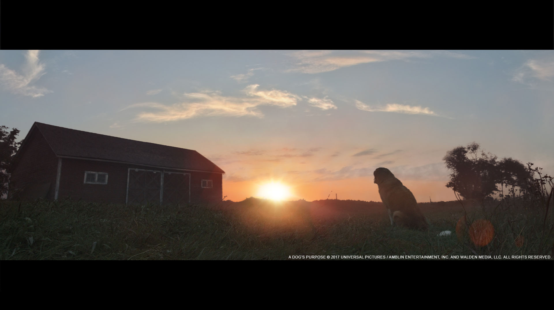 Sky Replacement - Golden Hour