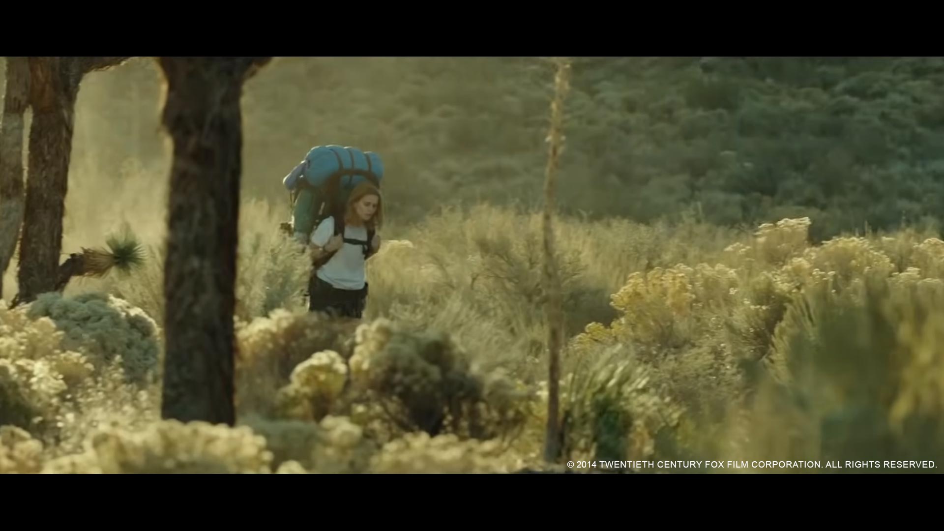 Trailer shot from the desert sequence