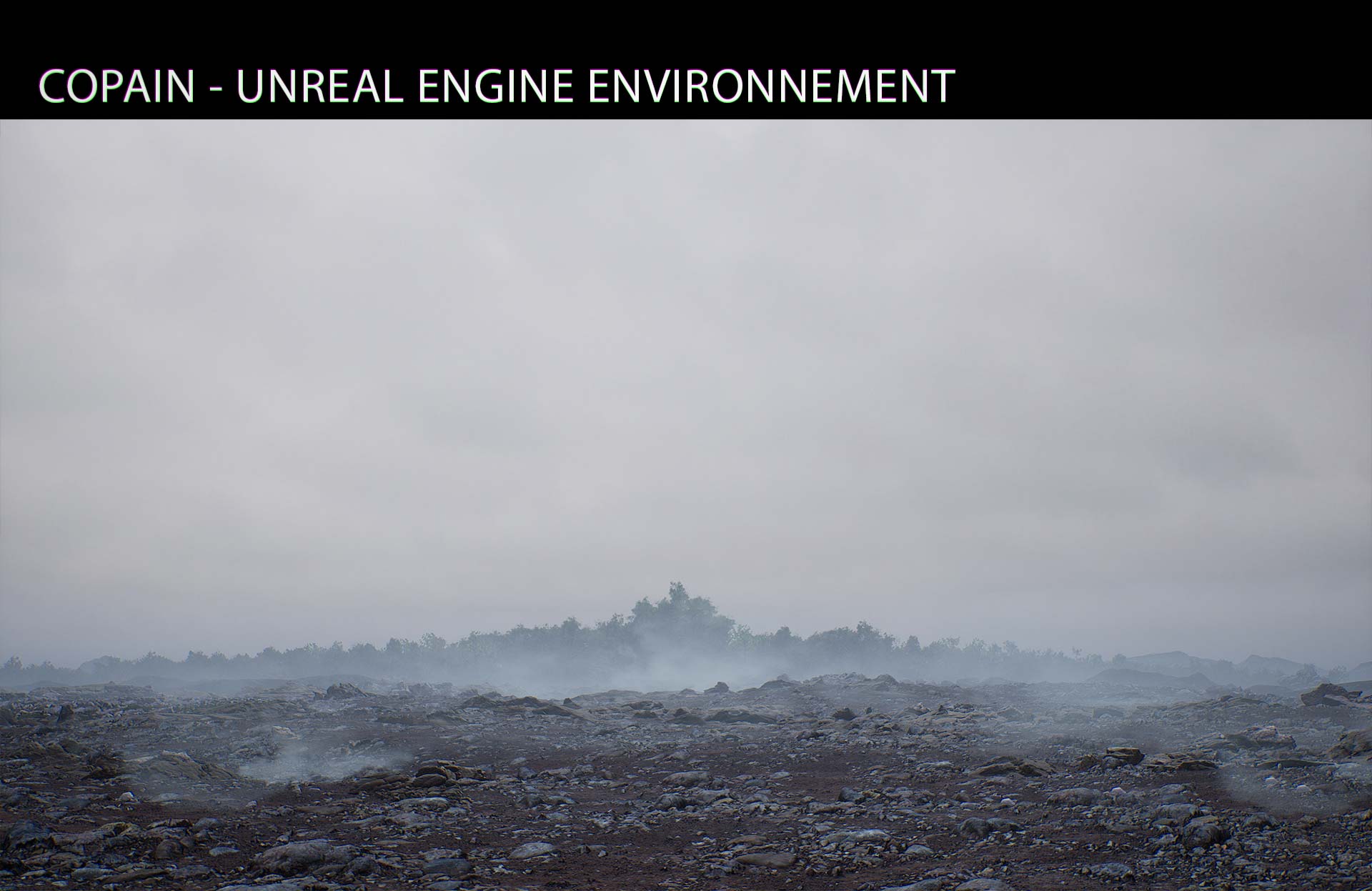 STARNO Digital Environment 3