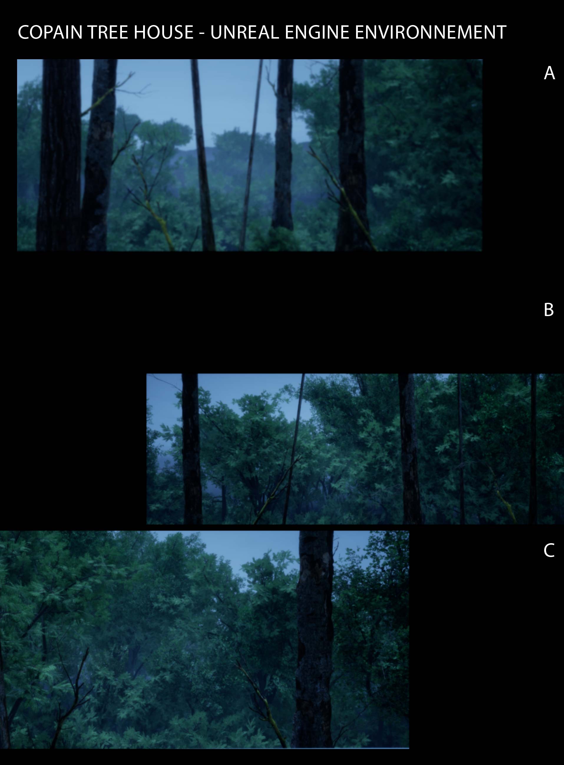 STARNO Digital Environment 4